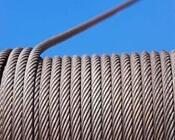 Wire rope for dam gates